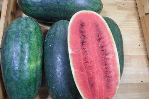 山东网红团队吃瓜,揭秘幕后美食风云  第1张